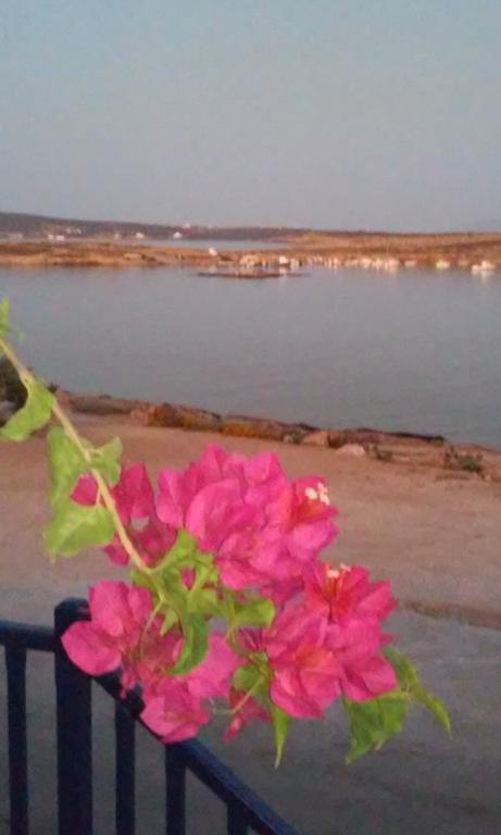 Bocamviglies By The Sea Hotell Náousa Eksteriør bilde